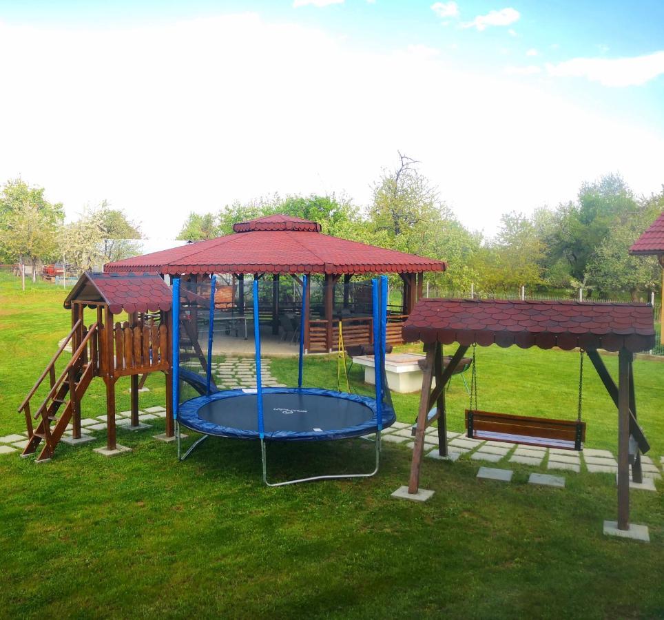 Pensiunea Casa Hortopan Târgu Jiu Zewnętrze zdjęcie