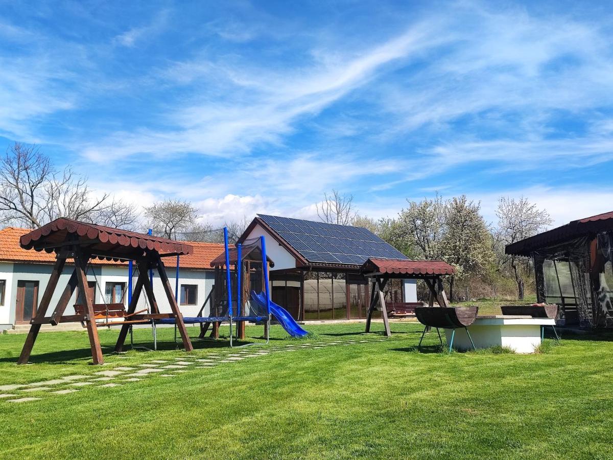 Pensiunea Casa Hortopan Târgu Jiu Zewnętrze zdjęcie